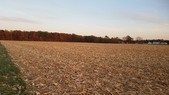 Enlarge photo 101