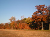 Enlarge photo 82
