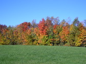 Enlarge photo 83
