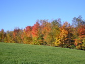 Enlarge photo 84