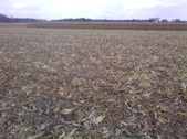 Enlarge photo 41