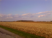 Enlarge photo 43