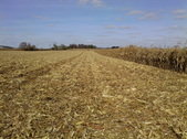 Enlarge photo 56