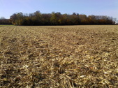 Enlarge photo 53