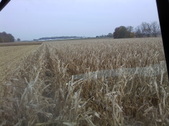 Enlarge photo 61