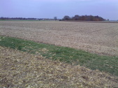 Enlarge photo 76