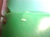 Enlarge photo 90