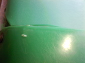 Enlarge photo 91