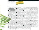 Enlarge photo 44