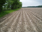 Enlarge photo 38