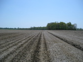 Enlarge photo 33