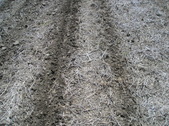 Enlarge photo 34