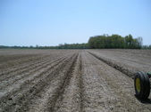 Enlarge photo 35