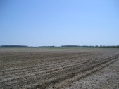 Enlarge photo 36