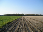 Enlarge photo 37