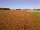 Enlarge photo 102