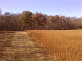 Enlarge photo 103