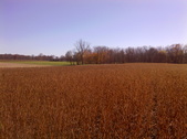 Enlarge photo 106