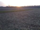 Enlarge photo 124