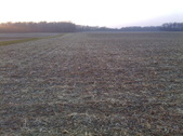 Enlarge photo 125