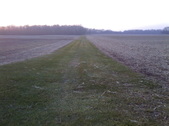 Enlarge photo 126
