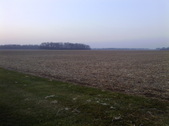 Enlarge photo 127