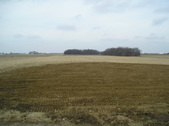 Enlarge photo 37