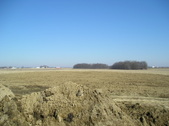Enlarge photo 43