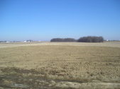 Enlarge photo 45