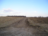 Enlarge photo 52