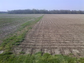 Enlarge photo 128
