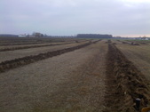 Enlarge photo 161
