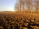 Enlarge photo 152
