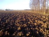 Enlarge photo 153