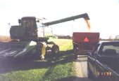 Enlarge photo 57