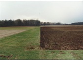 Enlarge photo 157