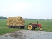 Enlarge photo 121