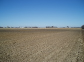 Enlarge photo 163