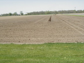 Enlarge photo 77