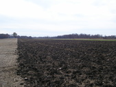 Enlarge photo 132