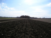 Enlarge photo 146