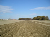 Enlarge photo 147