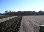 Enlarge photo 148