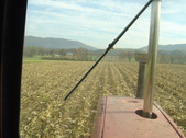Enlarge photo 449