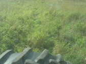 Enlarge photo 403