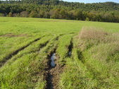 Enlarge photo 444