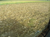 Enlarge photo 450