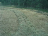 Enlarge photo 408