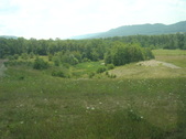 Enlarge photo 420