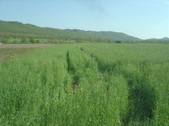Enlarge photo 382